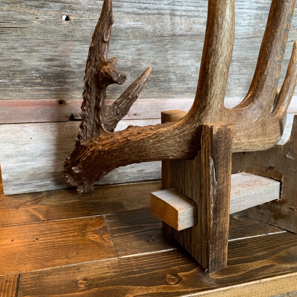 Antler display
